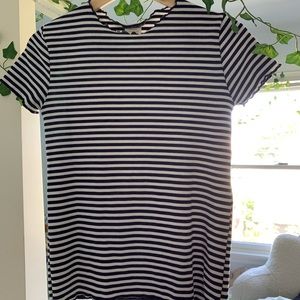 Navy and White Fitted Tee (Zara)